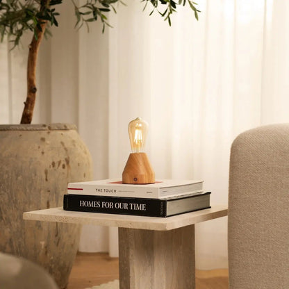 Zavi Light Brown Rechargeable Table Lamp